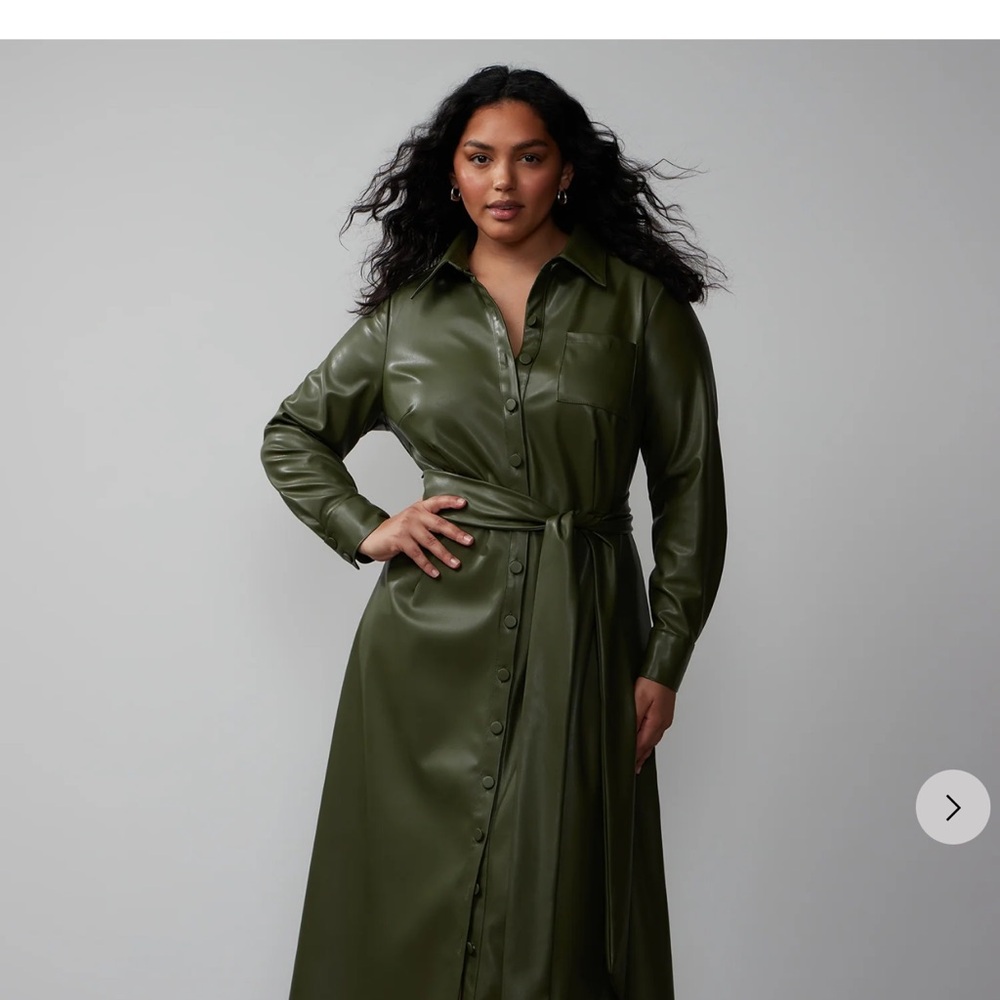 New York & Company Plus Faux Leather Sage Waist Tie Shirt Dress